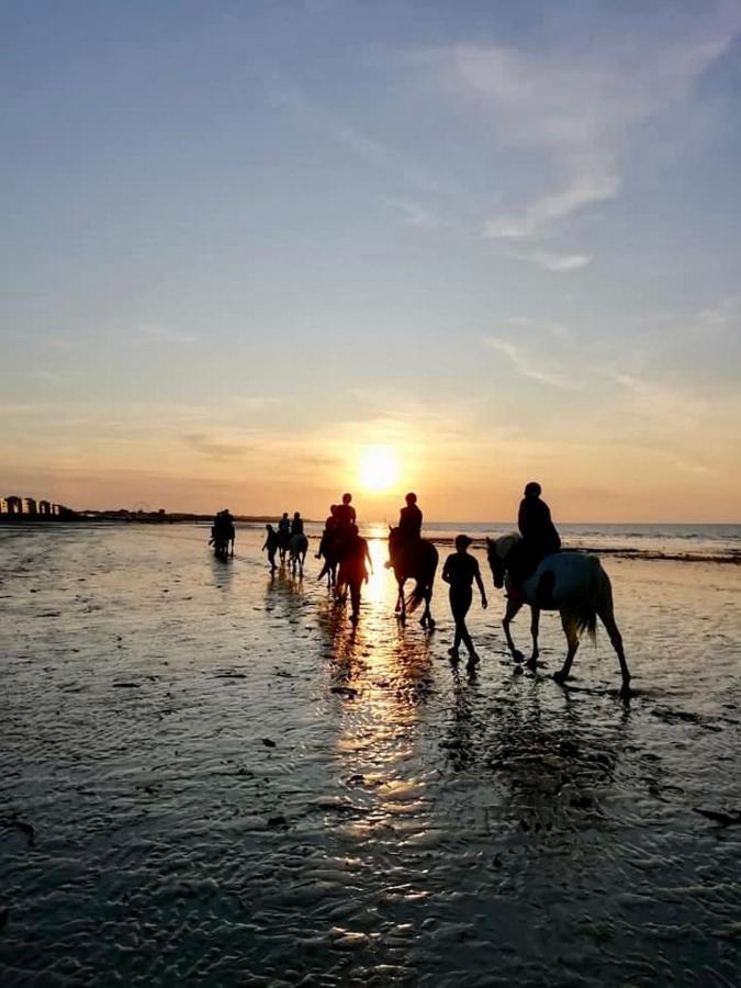 Le Cocon De Nacre - A 300M De La Plage - Wifi Courseulles-sur-Mer Buitenkant foto