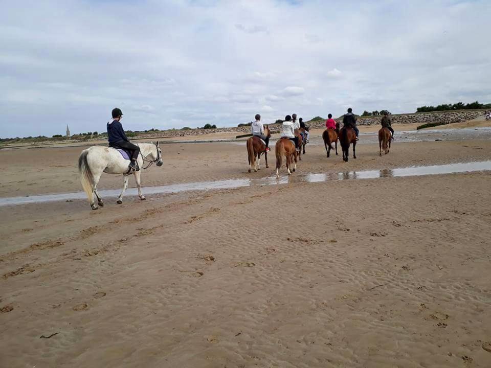 Le Cocon De Nacre - A 300M De La Plage - Wifi Courseulles-sur-Mer Buitenkant foto
